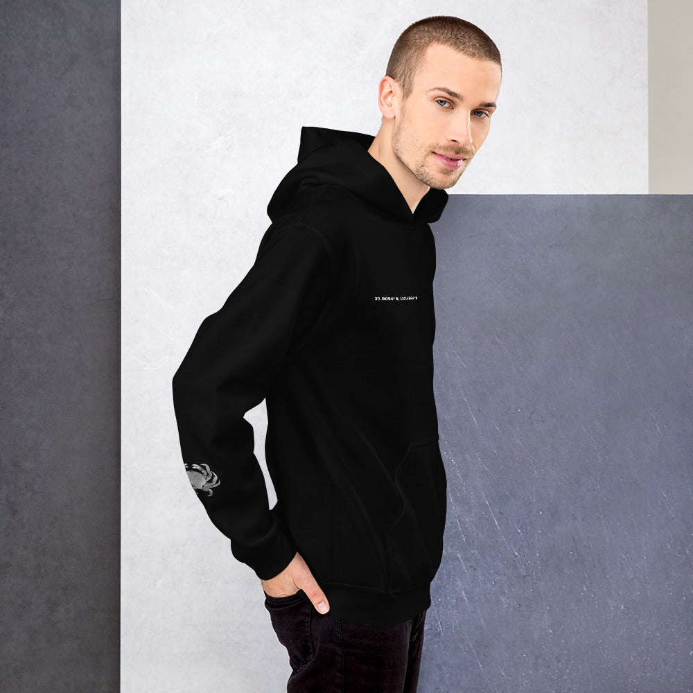 Bolinas Coordinate Hoodie