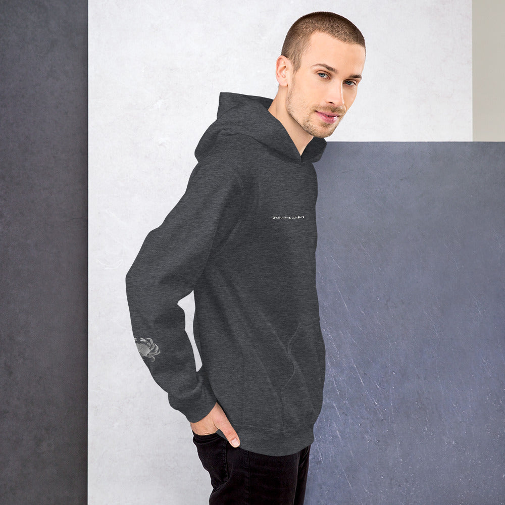 Bolinas Coordinate Hoodie