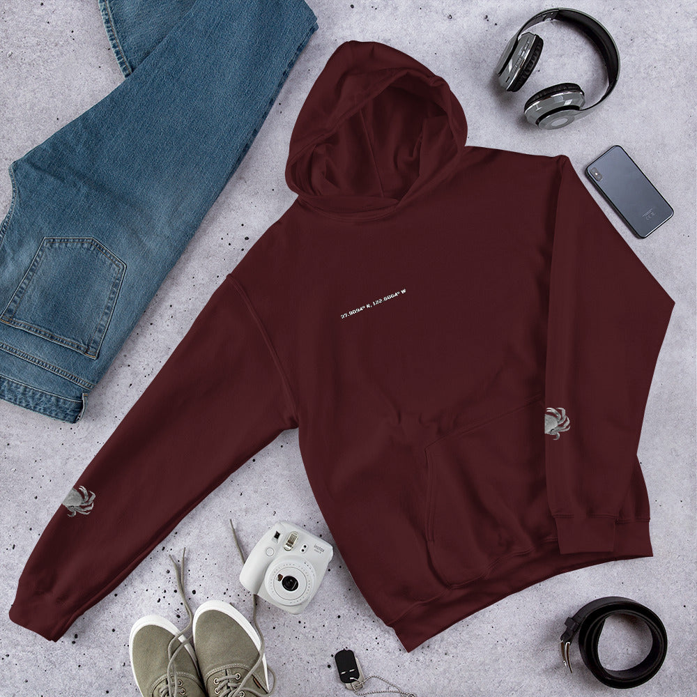 Bolinas Coordinate Hoodie